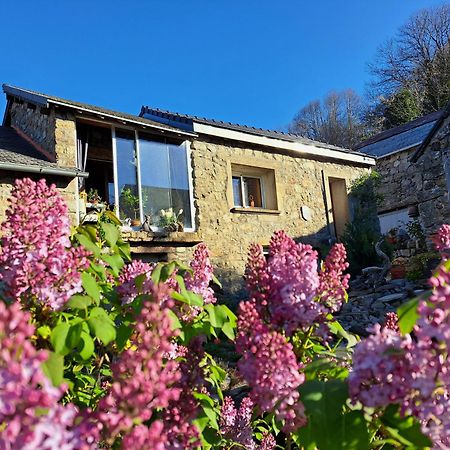 Bed and Breakfast La Bouletiere Dourbies Exteriér fotografie